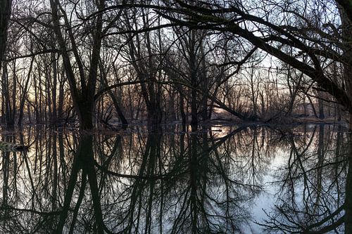 Spiegelung im Flachland