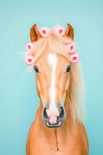 Hairstyling met een paard
