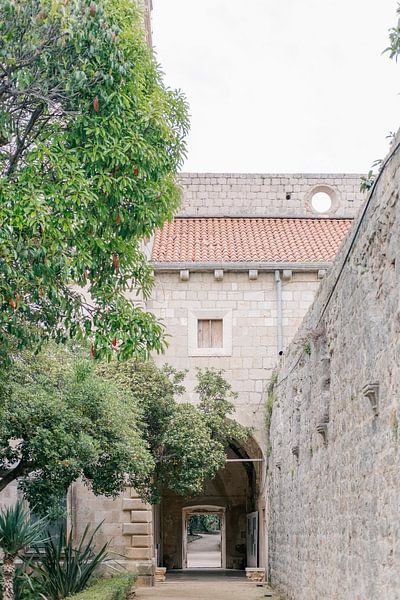 Jardin botanique de l'île de Lokrum Dubrovnik par Amy Hengst