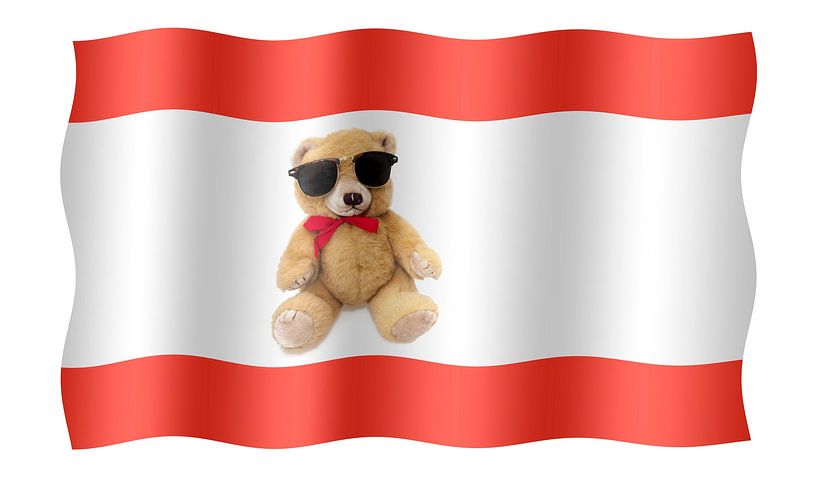 Berlin-Flagge mit Kuscheltier von Grüntyers .