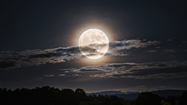 Volle maan boven een bos in silhouet van Markus Gann