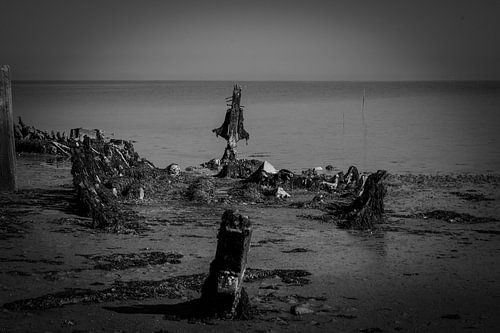 Wrak op drooggevallen land