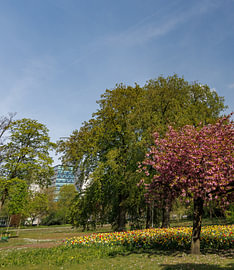 Parc Wilhelmina à Breda sur I Love Breda