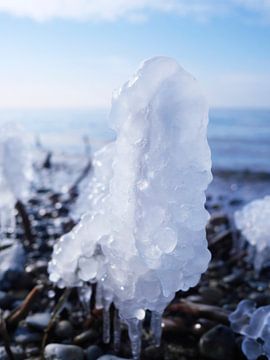 Eis am Stiel – Darß Weststrand im Winter 2018