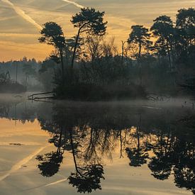 Magical morning II by Diane van Veen