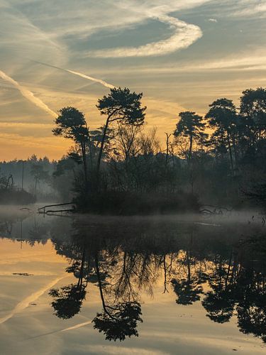 Matinée magique II sur Diane van Veen