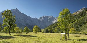 Großer Ahornboden, Karwendelgebirge, Tirol, Österreich, Europa von Walter G. Allgöwer