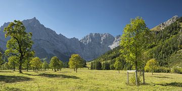 Großer Ahornboden, Karwendelgebergte, Tirol, Oostenrijk, Europa van Walter G. Allgöwer