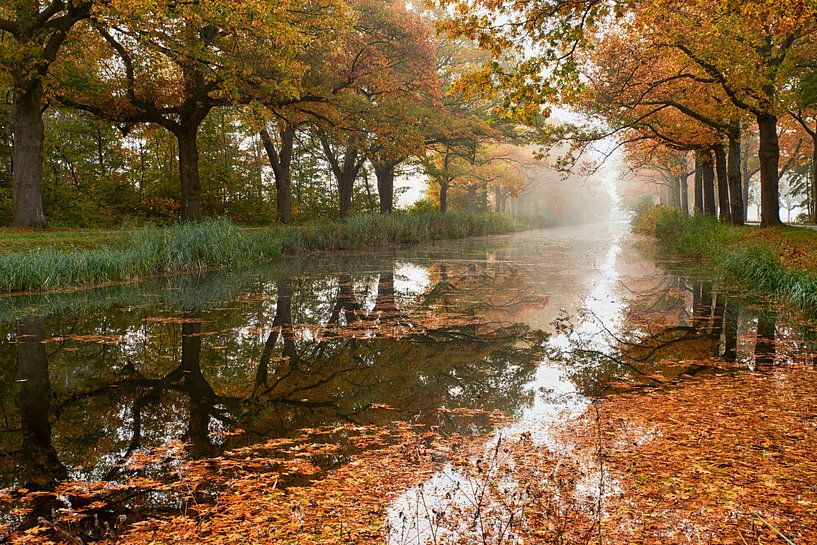 Nebliger Herbstmorgen am Apeldoornkanal von Cor de Hamer