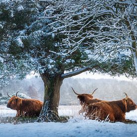 Profiter de la vue. sur Marco Lok