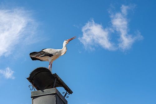 Een ooievaar zit op een schoorsteen