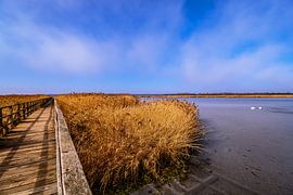BADEN-WÜRTTEMBERG : BAD BUCHAU - FEDERSEESTEG sur Photoart-Naegele
