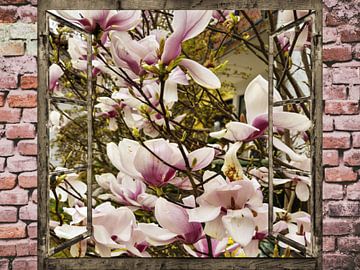 Vue de la fenêtre -  le magnolia sur Christine Nöhmeier