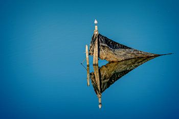 Mouette sur un mât dans une eau bleue claire sans vent