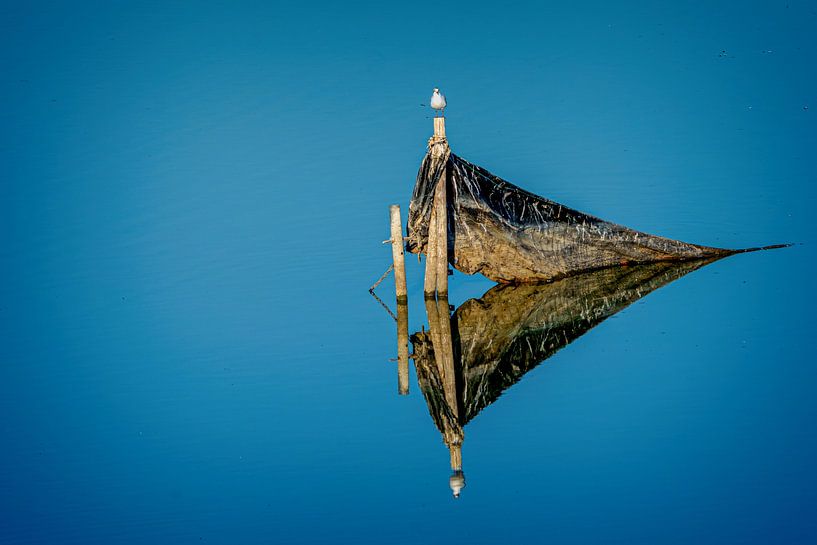 Möwe auf Stange in windstillem klaren blauen Wasser von nol ploegmakers