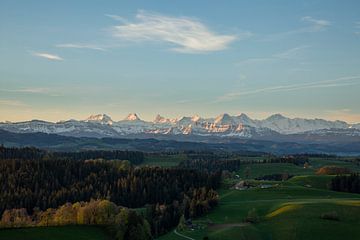 Uitzicht in het Emmental naar de Berner Alpen bij zonsopgang