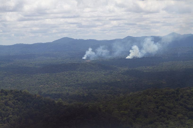 Der tropische Regenwald im Süden Surinams von rene marcel originals