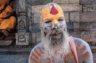 Porträt eines Naga-Sadhus aus Kathmandu, Nepal. Wout Kok One2expose von Wout Kok Miniaturansicht