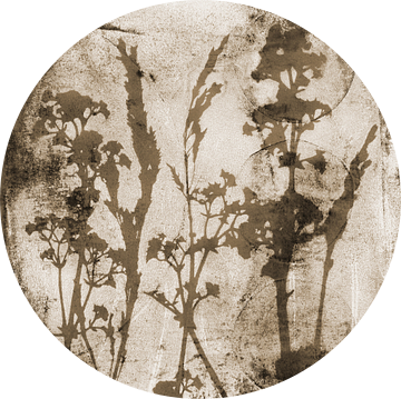 Abstract Retro Botanisch. Bloemen, planten en bladeren in beige en bruin van Dina Dankers