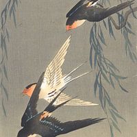 Ohara Koson