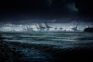 Fotografie Hamburg - Die Container Terminals im Hamburger Hafen
