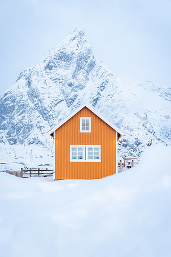 La Cabane Jaune