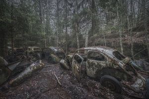 Forêt de coléoptères