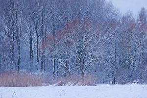 Winterlandschaft