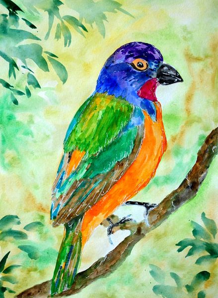 Pinson du Pape multicolore par Sebastian Grafmann