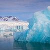 Eisberge des Lilliehookbreen-Gletschers von Joy van der Beek