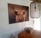 Customer photo: Scottish Highland Cow by Diana van Tankeren