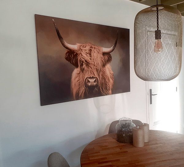 Highlander écossais