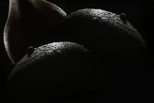 Black White macro shot. Fruit bowl: apples with pears. (breasts)