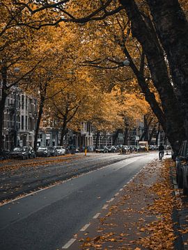 Ceintuurbaan im Herbst - Moody #1 von Roger Janssen