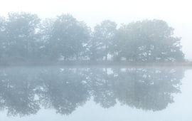 Misty Sunrise at Dwingelderveld – Drenthe (Netherlands) by Marcel Kerdijk