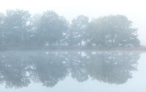 Lever de soleil brumeux à Dwingelderveld - Drenthe (Pays-Bas)