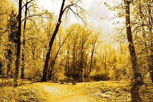 Goldener Amsterdamer Wald