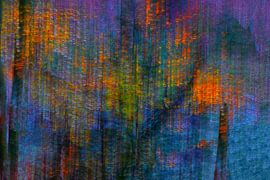 MÄRCHENWALD 14 von Miroslav Ptacek