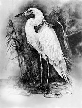 Heron - drawing by Levente Luca