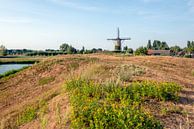 Molen De Arend in het Noord-Brabantse dorp Terheijden van Ruud Morijn thumbnail