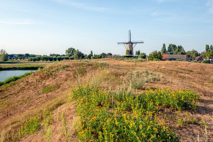 Rand eines niederländischen Dorfs in der Sommersaison von Ruud Morijn