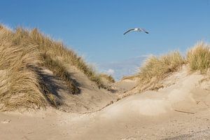 Strand und Dünen von Tonny Visser-Vink