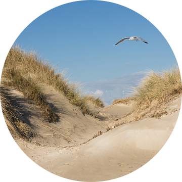 Strand en Duinen;