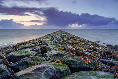 Seaweed on a basalt stone storm breaker with dramatic cloudy sky
