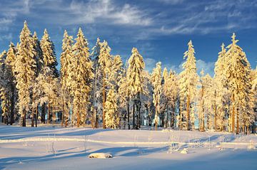Winterabend im Bayerischen Wald von Peter Eckert
