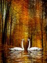 Zwanenmeer - Liefde in de herfst van Christine Nöhmeier thumbnail