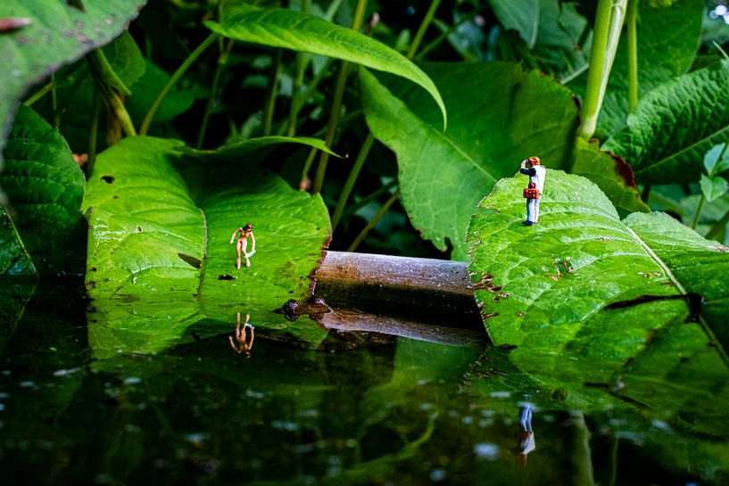 Der Frosch greift an von Hugo Nereaux - Sqircle Art