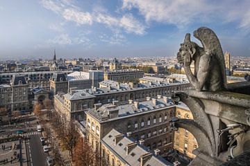 Uitzicht vanaf de kathedraal Notre Dame, Parijs van Christian Müringer