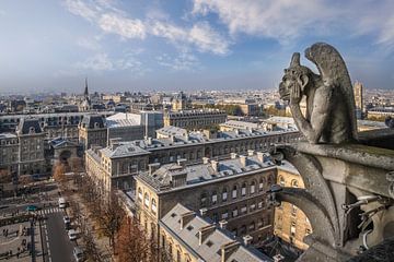 Vue de la cathédrale Notre Dame, Paris sur Christian Müringer