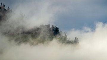 Brouillard matinal dans les montagnes sur chamois huntress